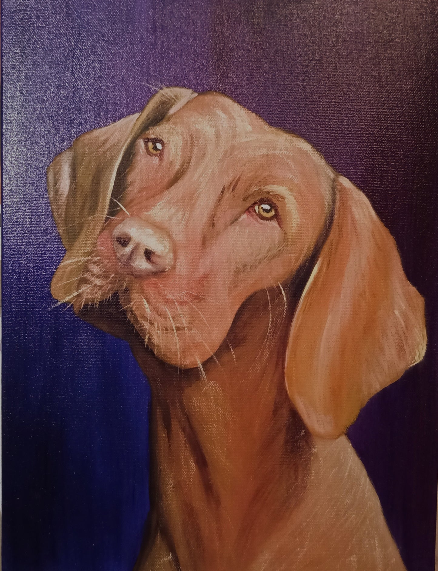 Pet Portrait - Hound