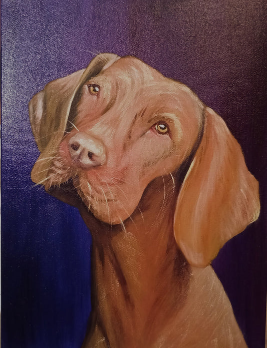 Pet Portrait - Hound