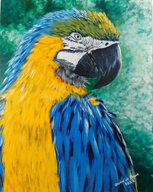 Macaw