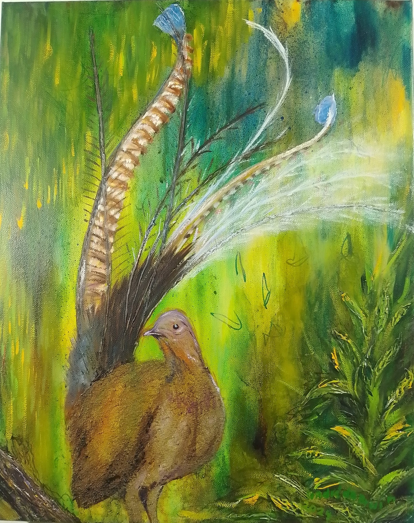 Lyre Bird